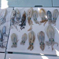 フィッシングボートACE(エース) 釣果