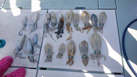 フィッシングボートACE（エース） 釣果