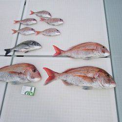 フィッシングボートACE(エース) 釣果