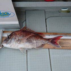 フィッシングボートACE（エース） 釣果