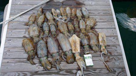 フィッシングボートACE(エース) 釣果