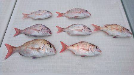 フィッシングボートACE(エース) 釣果