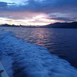 フィッシングボートACE(エース) 釣果