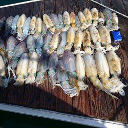 フィッシングボートACE(エース) 釣果