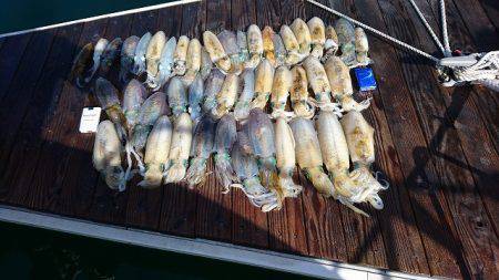 フィッシングボートACE(エース) 釣果