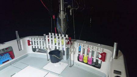 フィッシングボートACE(エース) 釣果