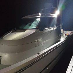 フィッシングボートACE(エース) 釣果