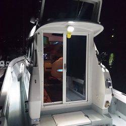 フィッシングボートACE(エース) 釣果