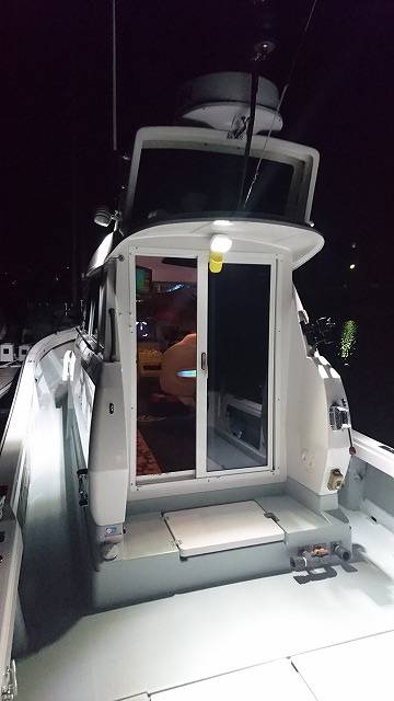 フィッシングボートACE(エース) 釣果