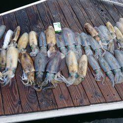 フィッシングボートACE(エース) 釣果