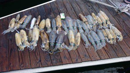 フィッシングボートACE（エース） 釣果