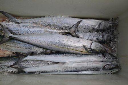 アジアマリンサービス 釣果