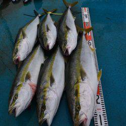 アジアマリンサービス 釣果