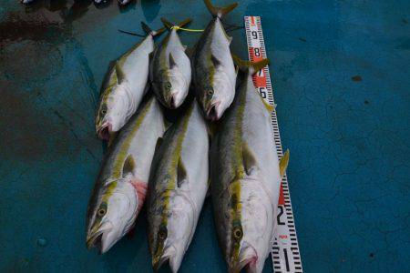 アジアマリンサービス 釣果