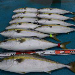 アジアマリンサービス 釣果