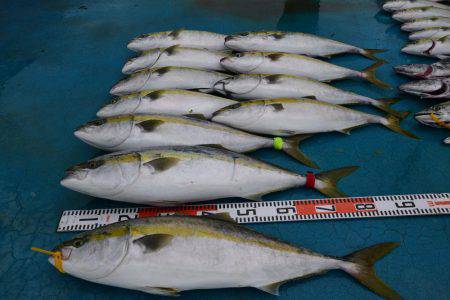 アジアマリンサービス 釣果