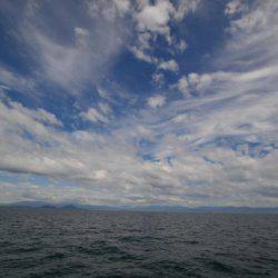 アジアマリンサービス 釣果