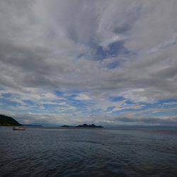 アジアマリンサービス 釣果