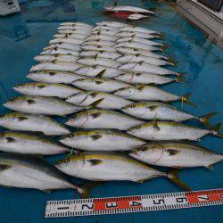 アジアマリンサービス 釣果