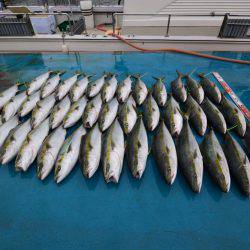 アジアマリンサービス 釣果