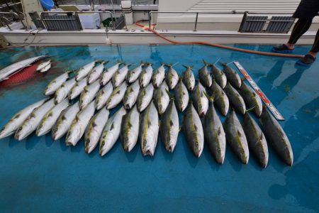 アジアマリンサービス 釣果