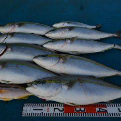 アジアマリンサービス 釣果