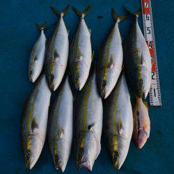 アジアマリンサービス 釣果