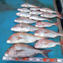 アジアマリンサービス 釣果