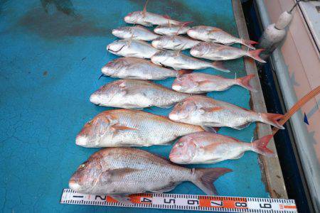 アジアマリンサービス 釣果