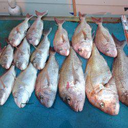 アジアマリンサービス 釣果