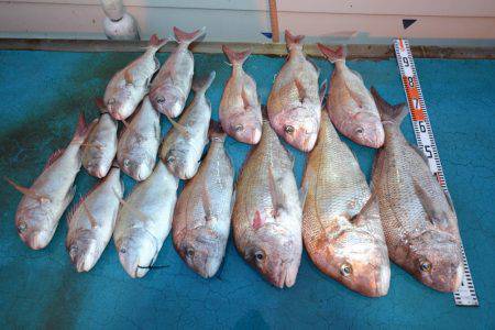 アジアマリンサービス 釣果