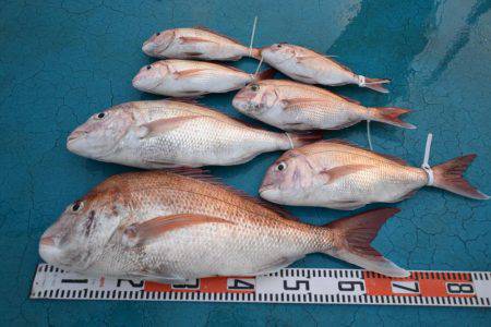 アジアマリンサービス 釣果