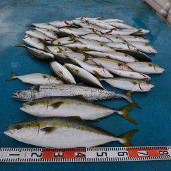 アジアマリンサービス 釣果