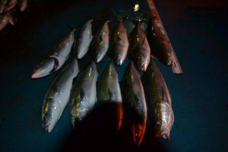 アジアマリンサービス 釣果