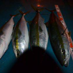 アジアマリンサービス 釣果