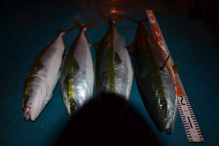 アジアマリンサービス 釣果