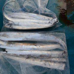 アジアマリンサービス 釣果