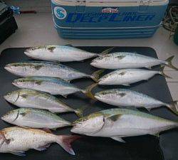 武士(SAMURAI) 釣果