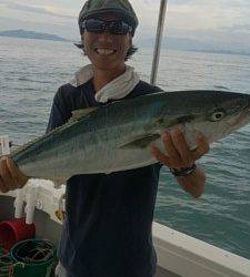 武士(SAMURAI) 釣果