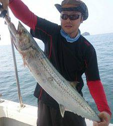 武士(SAMURAI) 釣果