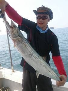 武士(SAMURAI) 釣果