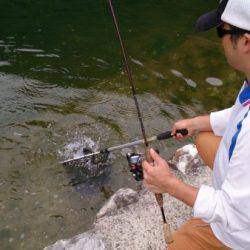 フィッシングエリア帝釈 釣果