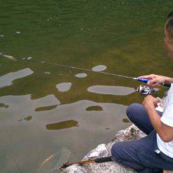 フィッシングエリア帝釈 釣果