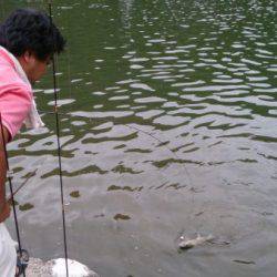 フィッシングエリア帝釈 釣果