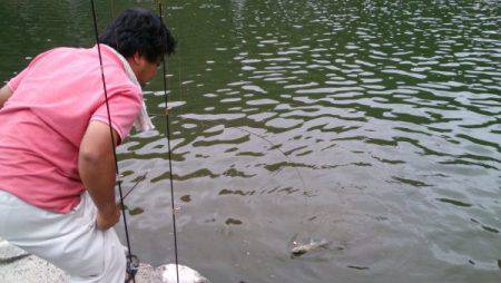 フィッシングエリア帝釈 釣果