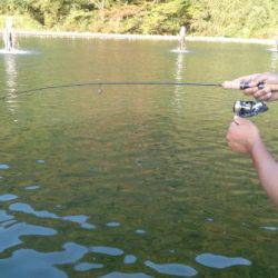 フィッシングエリア帝釈 釣果