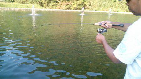 フィッシングエリア帝釈 釣果