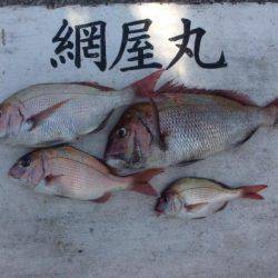 網屋丸 釣果