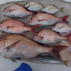 網屋丸 釣果