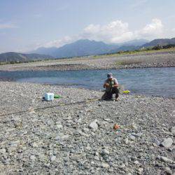 安倍川・藁科川(安倍藁科川漁業協同組合) 釣果